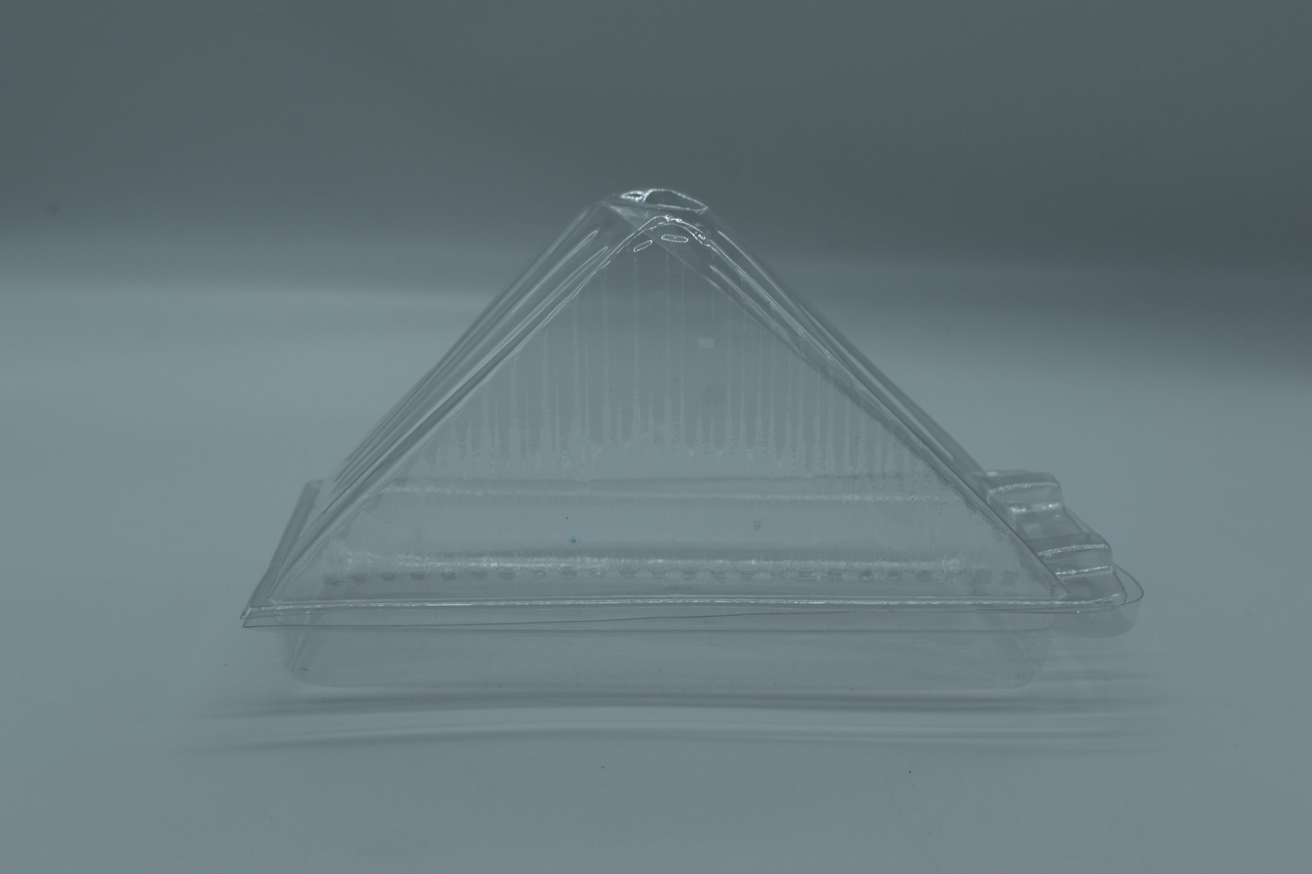 Sandwich wedge 500pc/ctn