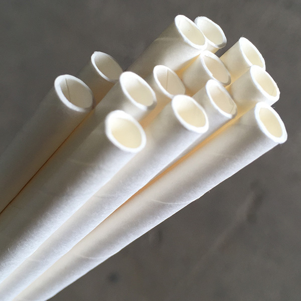 Straws Paper - Jumbo