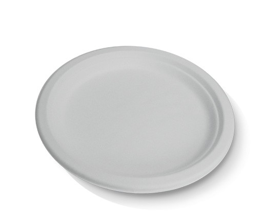 10" Sugarcane Round Plate
